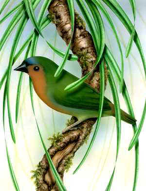 Bamboo.jpg (18685 bytes)